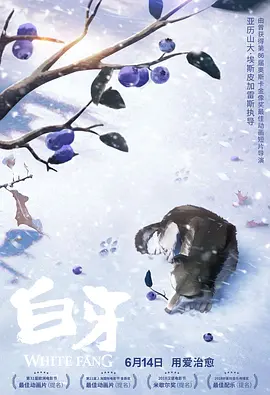 九九全国免费视频